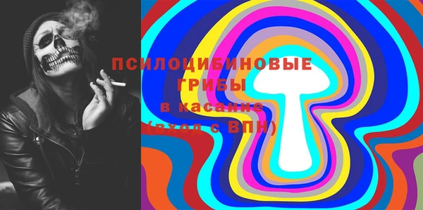 Альфа ПВП Пересвет