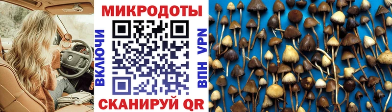 Псилоцибиновые грибы GOLDEN TEACHER  Купить где  Фатеж 